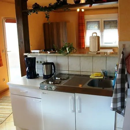 Am Kurpark Διαμέρισμα *